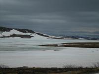 Hardangervidda