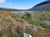 Fahrt von Geiranger nach Lom...