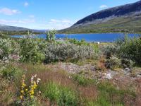 Fahrt von Geiranger nach Lom...