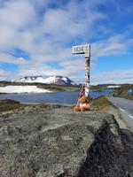 Sognefjell-Gebirgsstraße - 