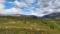 193 Dovrefjell