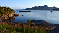 193 Mortsund Lofoten