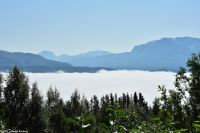 Ofotenfjord (Vestfjord) bei Narvik