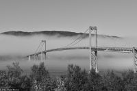 Tjeldsundbrücke führt zum Archipel der Vesteraalen