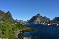 Lofoten - Reine