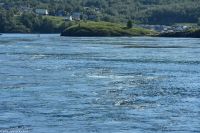 Bodö - Saltstraumen - mächstigster Gezeitenstrom der Welt