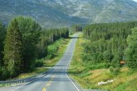 Boreale Nadelwaldzone oder 