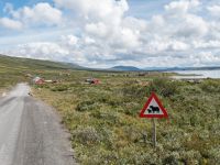 Radtour Mjølkevegen, Valdres