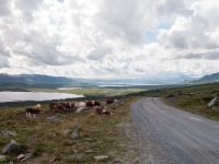 Radtour Mjølkevegen, Valdres