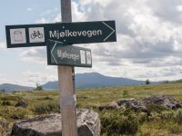 Radtour Mjølkevegen, Valdres