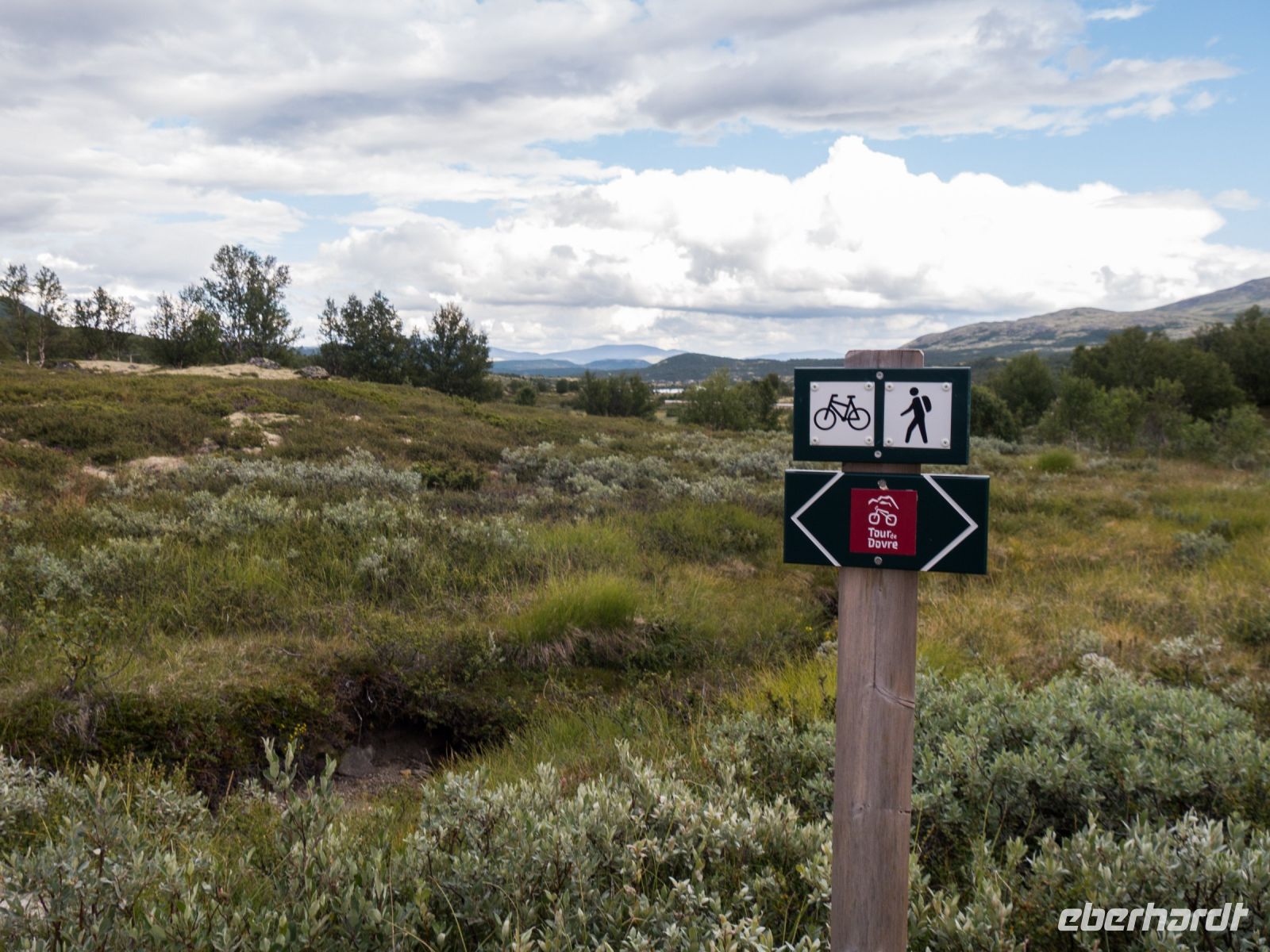 Tour de Dovre, Dovrefjell