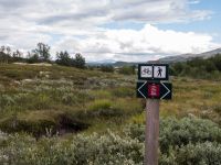 Tour de Dovre, Dovrefjell