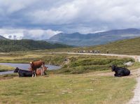 Grimsdalen mit dem E-Bike