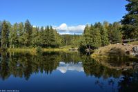 Lillehammer - Besuch des größten Freilichtmuseums Norwegens - Maihaugen