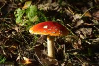 Herbststimmung im Romsdalen