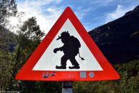Trollstigen - das berühmteste Verkehrsschild Skandinaviens - Vorsicht Trolle!