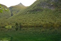 Das Lygnstøylvatnet - ein Gebirgssee - entstand erst nach einem gewaltigen Felssturz 1908 - das aufgestaute Wasser überflutete die Siedlung, die noch heute unter Wasser zu sehen ist...
