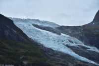 Der Bøyabreen - ein weiterer Auslassgletscher des Jostedalsbreen - wir erleben einen kleinen Lawinen-Abgang