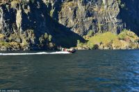 Traumwetter für unser exklusives Abenteuer - mit dem RIB-Boot über den Aurlandsfjord