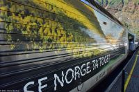 Es folgt direkt ein weiteres Highlight - Fahrt mit der Flåmsbane - der steilsten Eisenbahnstrecke der Welt (ohne Hilfsmittel) - von  Flåm nach Myrdal