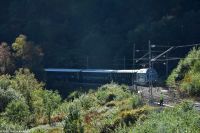 Es folgt direkt ein weiteres Highlight - Fahrt mit der Flåmsbane - der steilsten Eisenbahnstrecke der Welt (ohne Hilfsmittel) - von  Flåm nach Myrdal