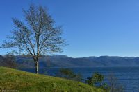 Kaiserwetter und Apfelernte am Hardangerfjord - Blick zum Folgefonna Gletscher