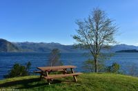 Kaiserwetter und Apfelernte am Hardangerfjord