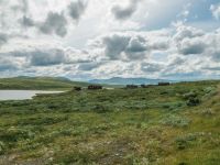 Hochebene Grimsdalen - Tour de Dovre