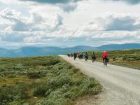 Hochebene Grimsdalen - Tour de Dovre