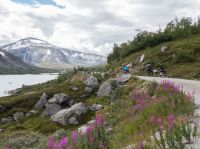 E-Bike-Tour Gamle Strynefjellsvegen