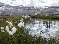 Norwegische Landschaftsroute Gamle Strynefjellsvegen