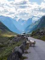 E-Bike-Tour Gamle Strynefjellsvegen