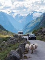 E-Bike-Tour Gamle Strynefjellsvegen