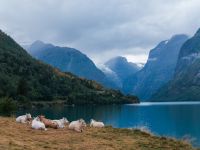 E-Bike-Tour zum Kjenndalsbreen, vorbei am See Lovatnet