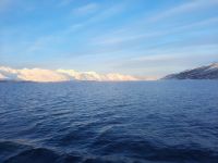 Fahrt von Tromsö nach Alta - Lyngenfjord 
