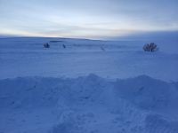 Fahrt von Alta nach Honningsvåg - Sennafjell
