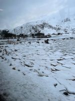 Landschaft auf dem Weg nach Reine