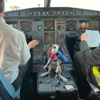 Unser blinder Passagier Solo - Audienz im Cockpit.jpg