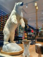 Norwegen - Tromso - Schaufensterbummel.jpg