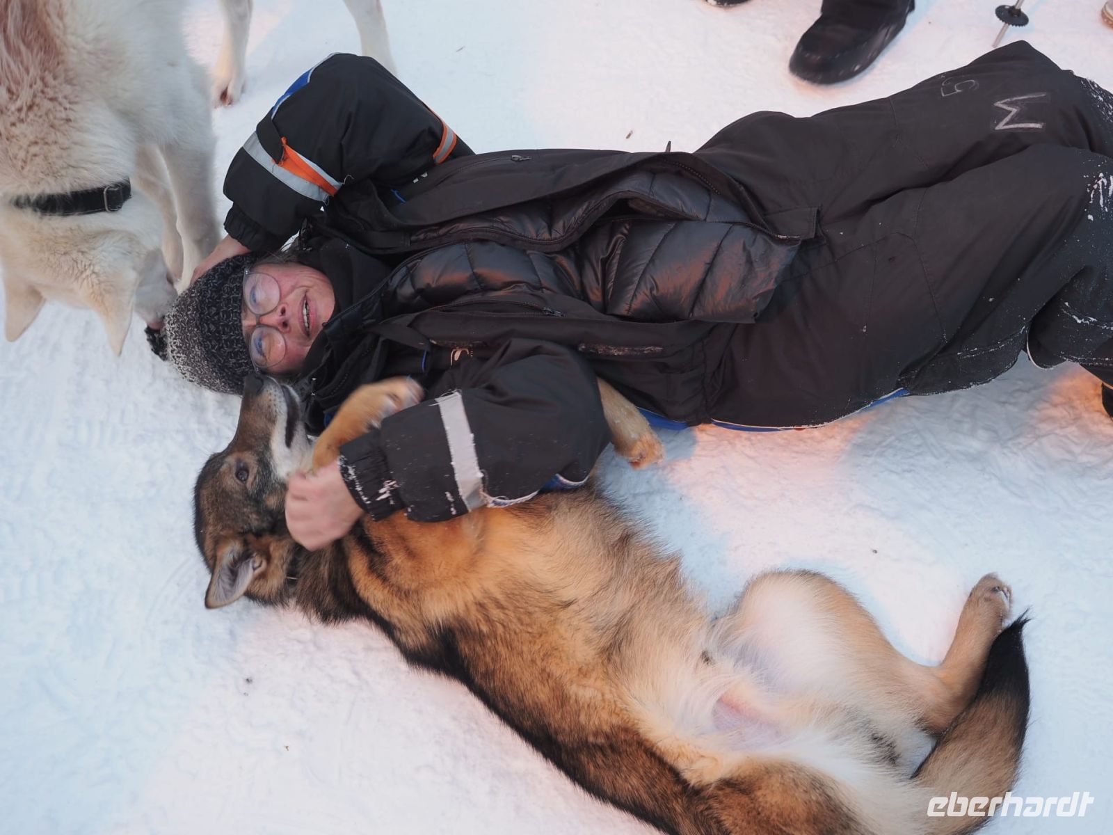 Norwegen - Husky Farm - zum Knuddeln.jpg