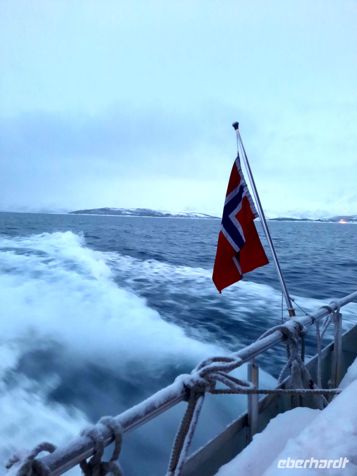 Norwegen - Tromso - Whale Watching mit dem Hybrid-Schiff Bard.jpg
