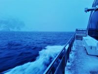 Norwegen - Tromso - Whale Watching - Schneesturm auf See.jpg