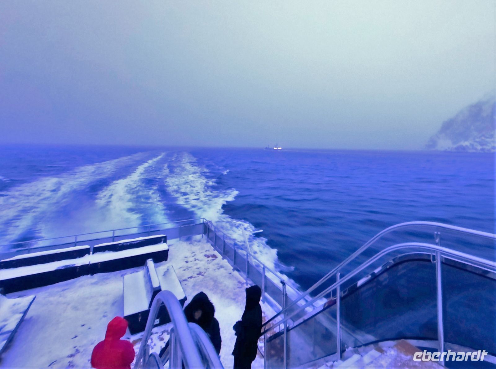 Norwegen - Tromso - Whale Watching mit dem Hybrid-Schiff Bard.jpg