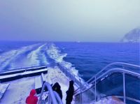 Norwegen - Tromso - Whale Watching mit dem Hybrid-Schiff Bard.jpg