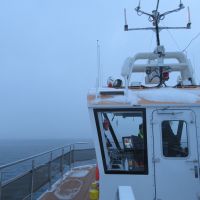 Norwegen - Tromso - Whale Watching mit dem Hybrid-Schiff Bard.jpg