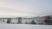 Von Tromsø nach Kiruna - an der E8 am Balsfjord