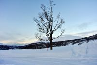 Von Tromsø nach Kiruna - an der E6 zwischen Nordkjosbotn und Bjerkvik