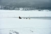 Icehotel 32 - Eishotel Jukkasjärvi am Torneälven in Schwedisch Lappland - #icehotelsweden - Hundeschlitten