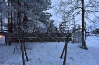 Nutti Sami Siida - Jukkasjärvi - Rentier-Geweihe in ihrer Entwicklung - links weiblich - rechts männlich