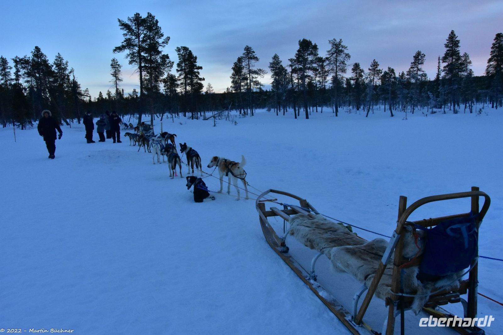 Hundeschlitten-Tour in Kurravaara (Kiruna) auf dem Torneälv